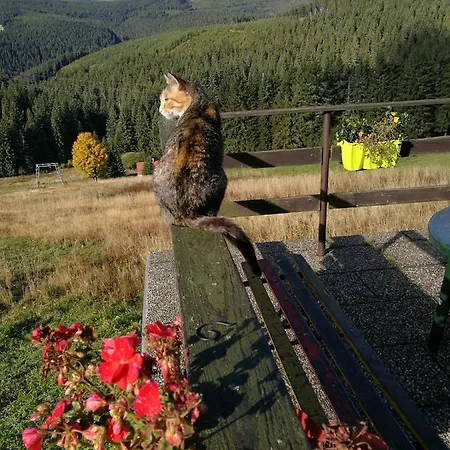 Bivak U Snezky *