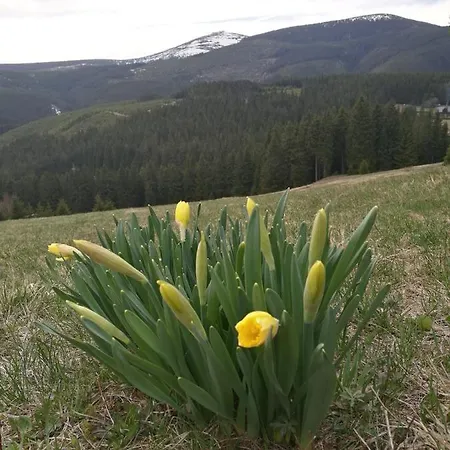 Bivak U Snezky * Dolna Mała Upa